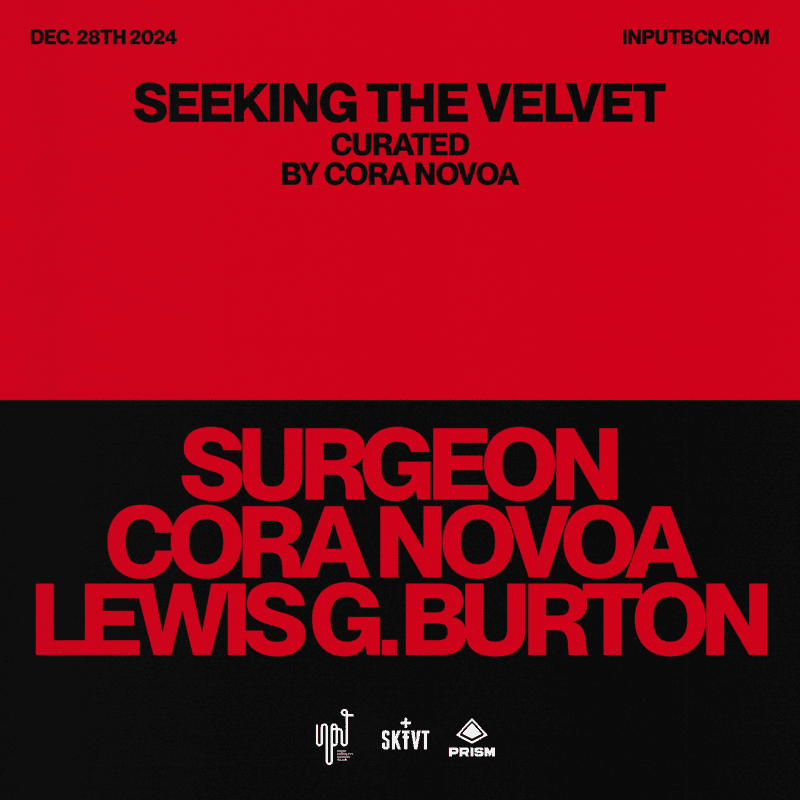 SEEKING THE VELVET curated by CORA NOVOA